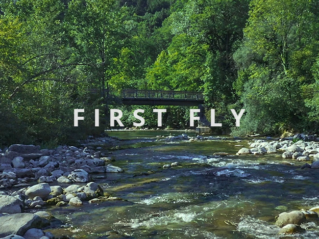 Projet First Fly
